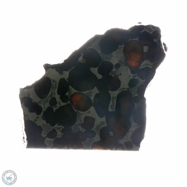 Sericho Pallasite Meteorite 21.5g