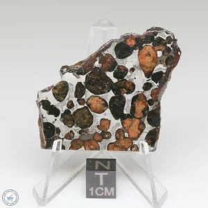 Sericho Pallasite Meteorite 21.5g