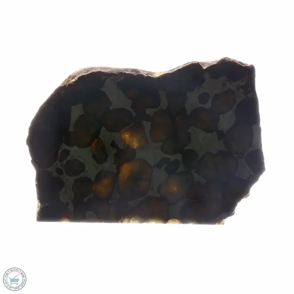 Sericho Pallasite Meteorite 25.4g