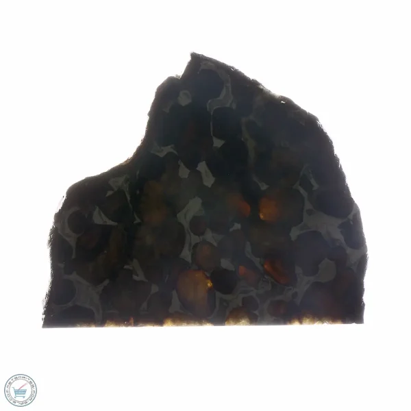 Sericho Pallasite Meteorite 25.0g