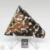 Sericho Pallasite Meteorite 17.8g