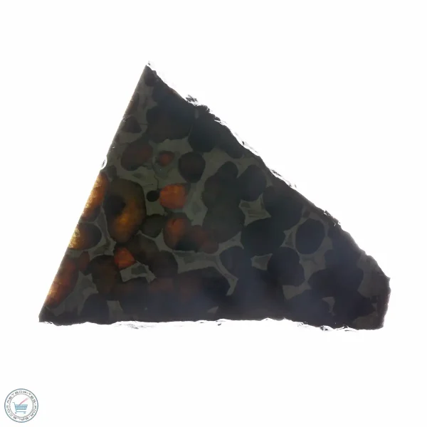 Sericho Pallasite Meteorite 17.8g