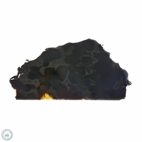 Sericho Pallasite Meteorite 29.9g