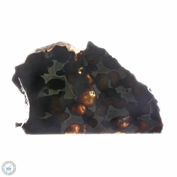Sericho Pallasite Meteorite 29.8g