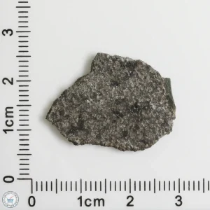 NWA 12262 Martian Meteorite 1.75g