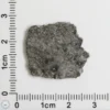 NWA 12262 Martian Meteorite 1.61g