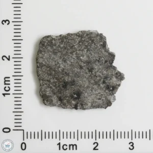 NWA 12262 Martian Meteorite 1.61g