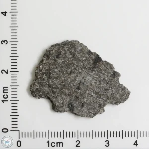NWA 12262 Martian Meteorite 2.54g