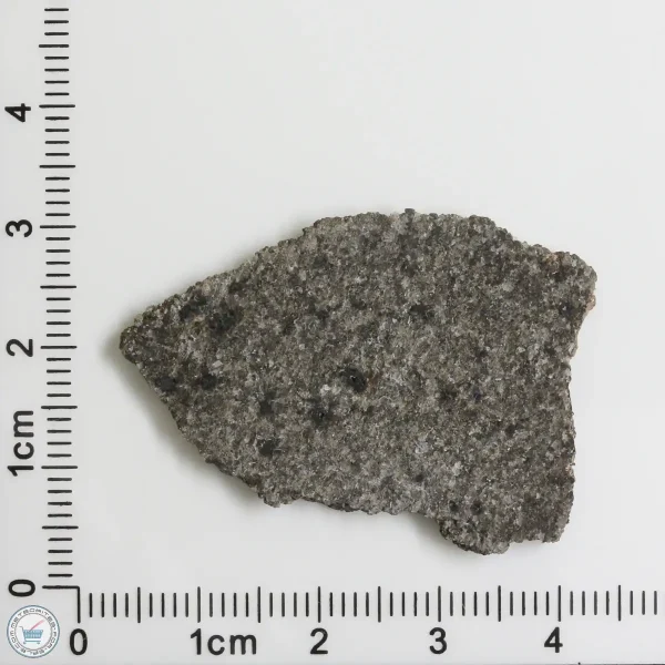 NWA 12262 Martian Meteorite 4.38g