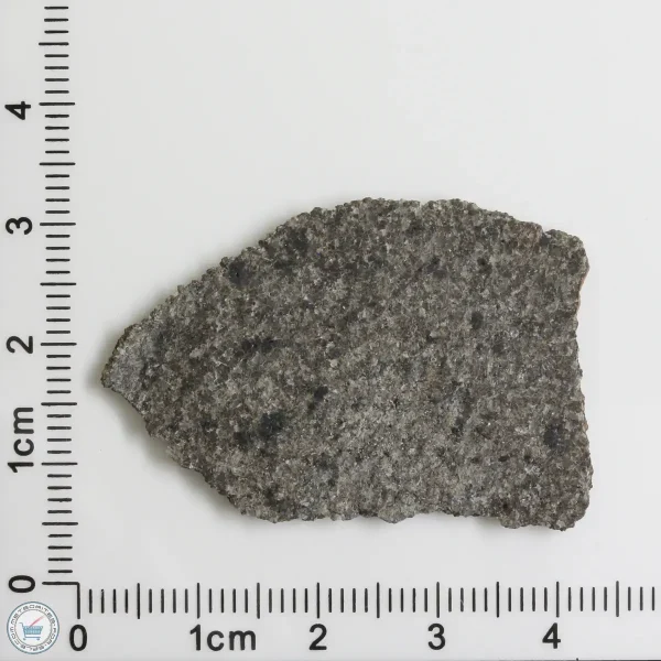 NWA 12262 Martian Meteorite 4.17g