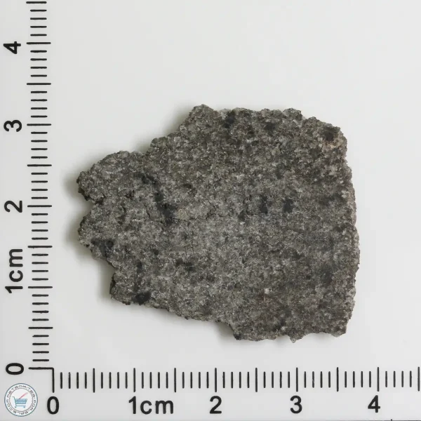 NWA 12262 Martian Meteorite 3.89g
