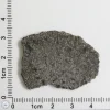 NWA 12262 Martian Meteorite 5.31g