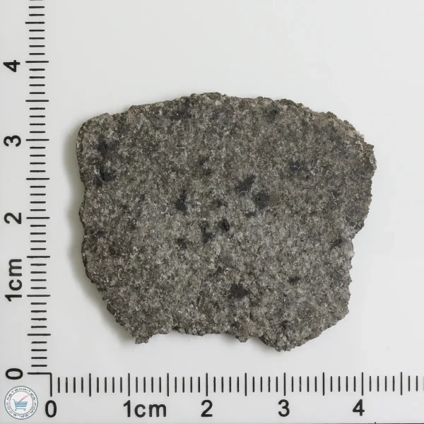 NWA 12262 Martian Meteorite 5.13g