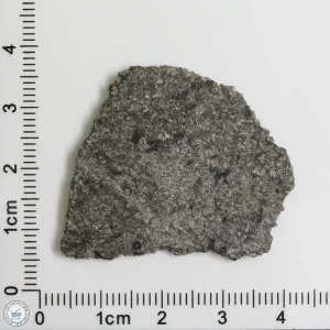 NWA 12262 Martian Meteorite 4.20g