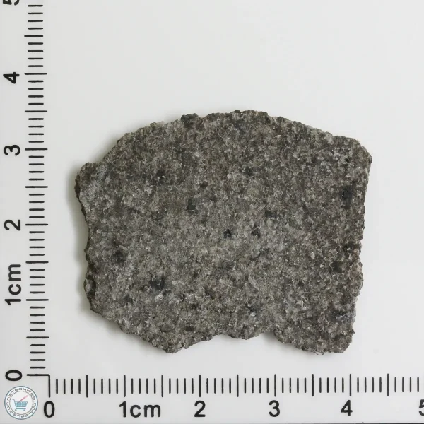 NWA 12262 Martian Meteorite 4.82g