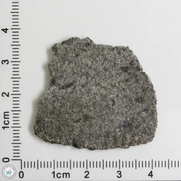 NWA 12262 Martian Meteorite 5.24g