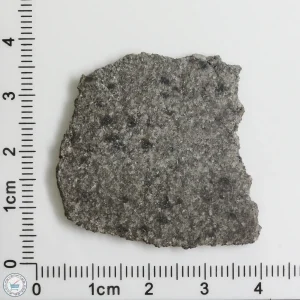 NWA 12262 Martian Meteorite 5.84g