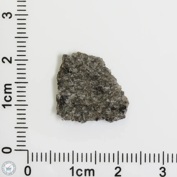 NWA 12269 (Paired) Martian Meteorite 0.68g