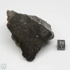 NWA 13758 Meteorite 250g End Cut