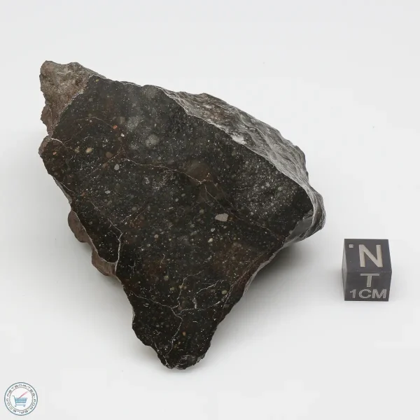 NWA 13758 Meteorite 250g End Cut