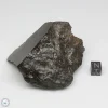 NWA 13758 Meteorite 250g End Cut