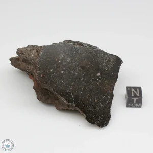NWA 13758 Meteorite 250g End Cut