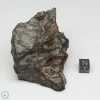 NWA 13758 Meteorite 250g End Cut