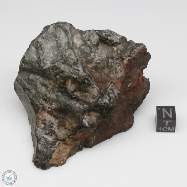 NWA 13758 Meteorite 250g End Cut