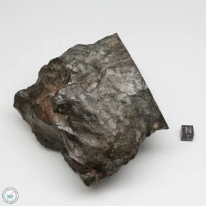 NWA 13758 Meteorite 1638g Windowed Stone
