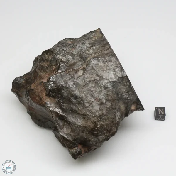 NWA 13758 Meteorite 1638g Windowed Stone