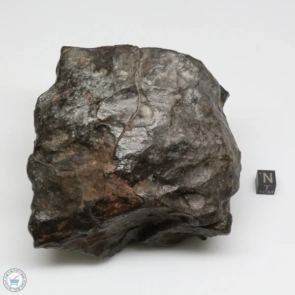 NWA 13758 Meteorite 1638g Windowed Stone