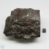 NWA 13758 Meteorite 1638g Windowed Stone