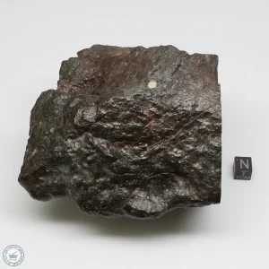 NWA 13758 Meteorite 1638g Windowed Stone