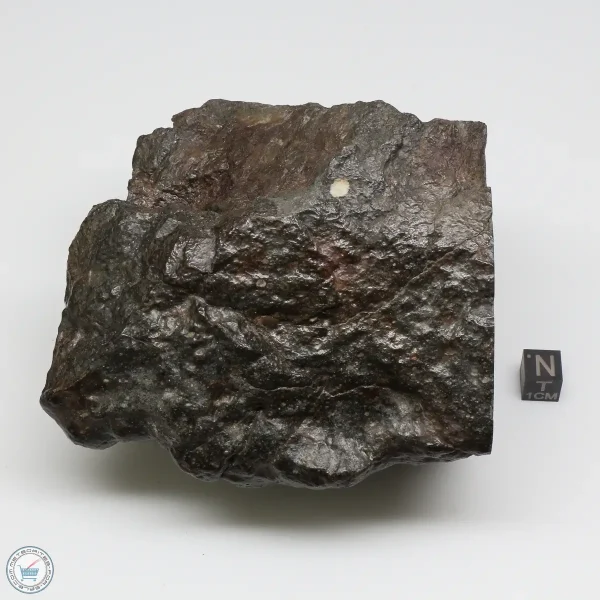 NWA 13758 Meteorite 1638g Windowed Stone