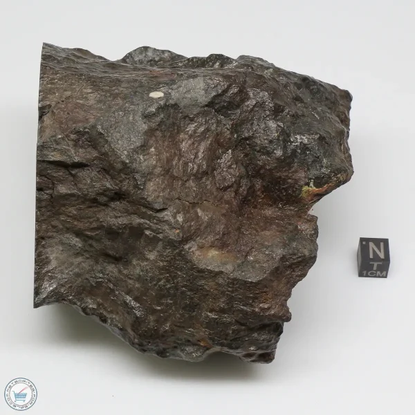 NWA 13758 Meteorite 1638g Windowed Stone