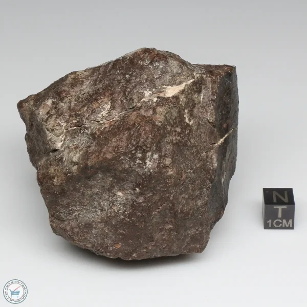 NWA 791 Meteorite 462g Windowed Stone