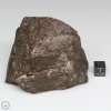 NWA 791 Meteorite 462g Windowed Stone