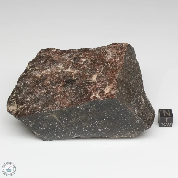 NWA 791 Meteorite 678g Windowed Stone