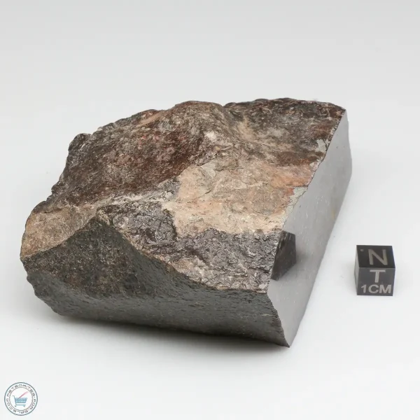 NWA 791 Meteorite 678g Windowed Stone