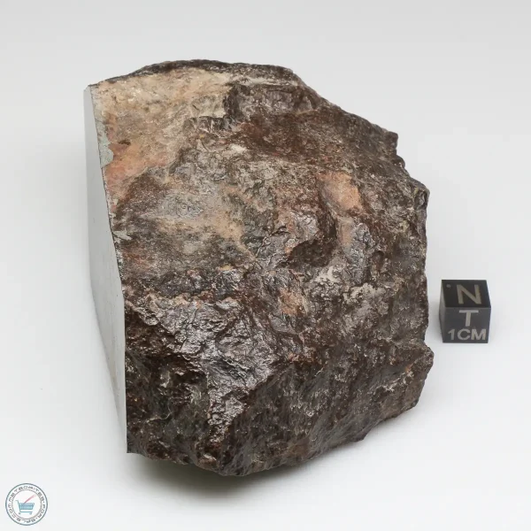 NWA 791 Meteorite 678g Windowed Stone