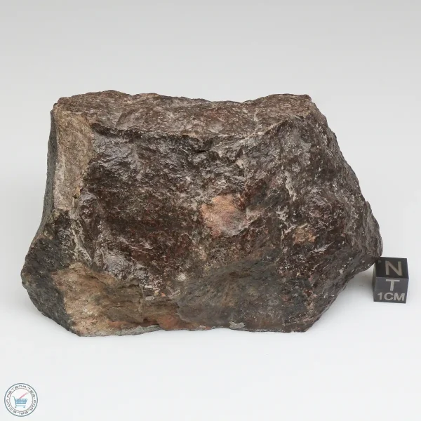 NWA 791 Meteorite 678g Windowed Stone