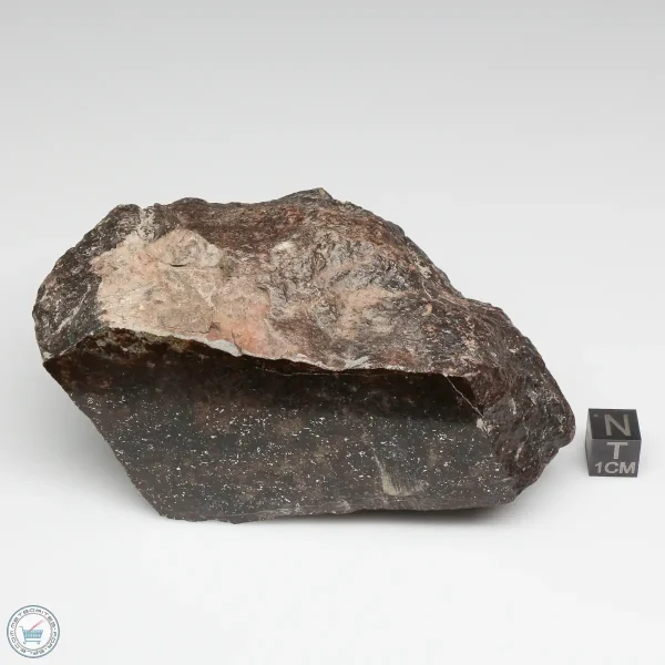 NWA 791 Meteorite 678g Windowed Stone