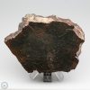 NWA 8008 Meteorite 357.5g Main Mass End Cut