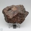 NWA 8008 Meteorite 357.5g Main Mass End Cut