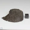 NWA 869 Meteorite 61.1g