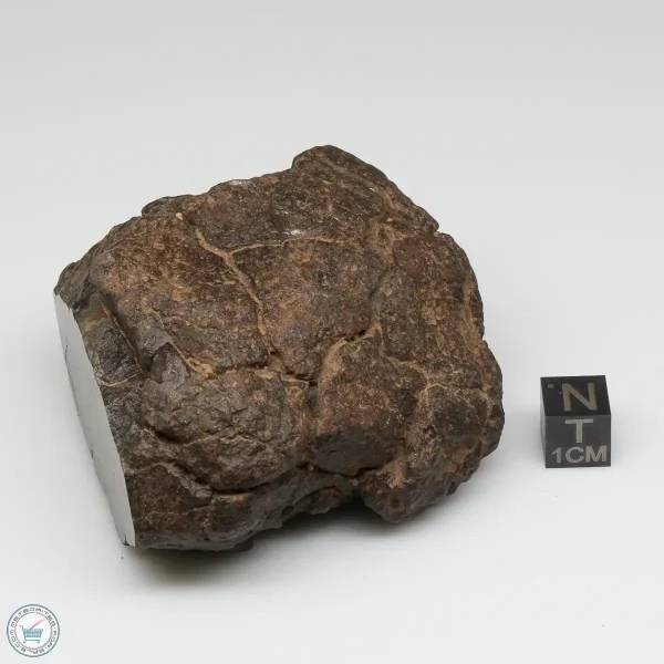 Al Haggounia 001 Meteorite 278.7g Windowed Stone