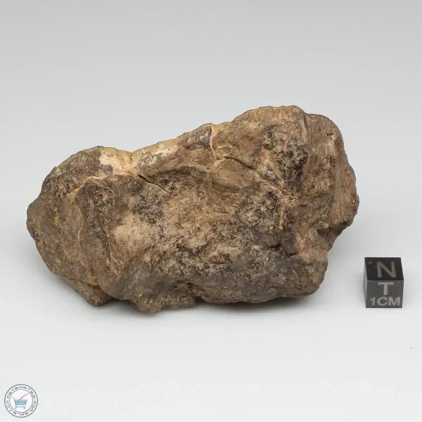Al Haggounia 001 Meteorite 322.8g