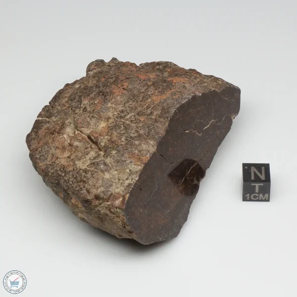 Al Haggounia 001 Meteorite 331.3g Windowed Stone