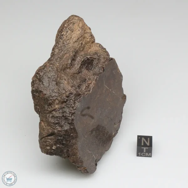Al Haggounia 001 Meteorite 385.0g Windowed Stone