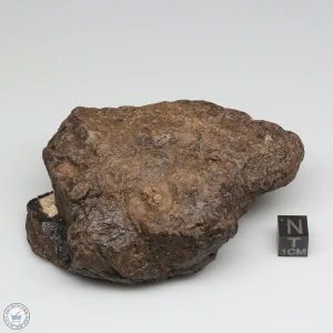 Al Haggounia 001 Meteorite 385.0g Windowed Stone